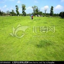 青青青草国产视频,国产视频中的青春记忆与成长轨迹