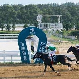 国产无马,引领绿色出行新潮流